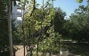 thumb_103_4.jpg
