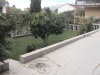 thumb_334_4.jpg
